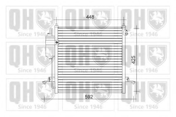 QUINTON HAZELL QCN559