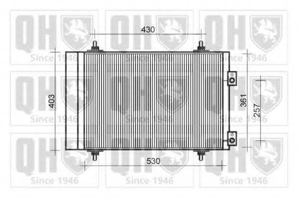 QUINTON HAZELL QCN568