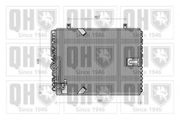 QUINTON HAZELL QCN58