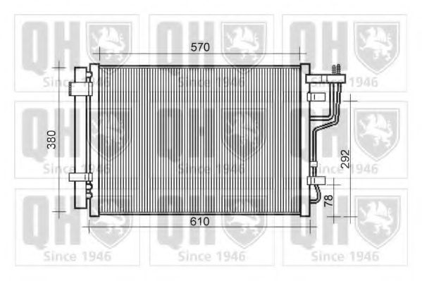 QUINTON HAZELL QCN589