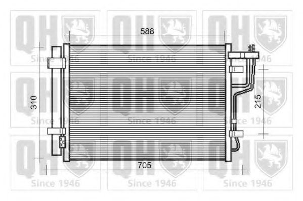 QUINTON HAZELL QCN595