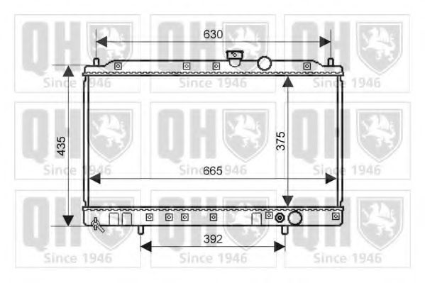 QUINTON HAZELL QER2253