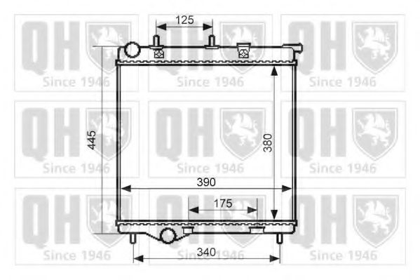 QUINTON HAZELL QER2489