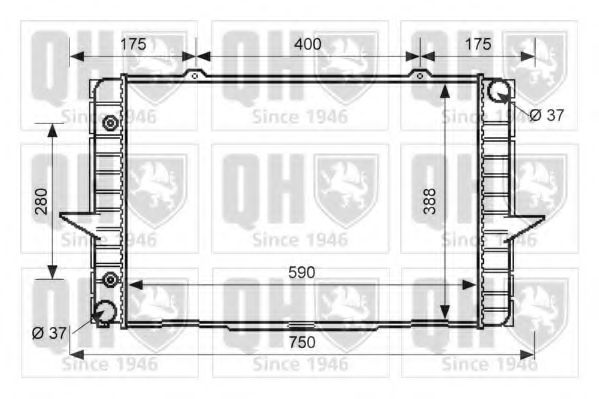 QUINTON HAZELL QER2583