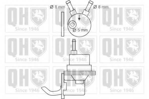 QUINTON HAZELL QFP56