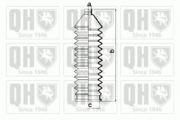 QUINTON HAZELL QG1161