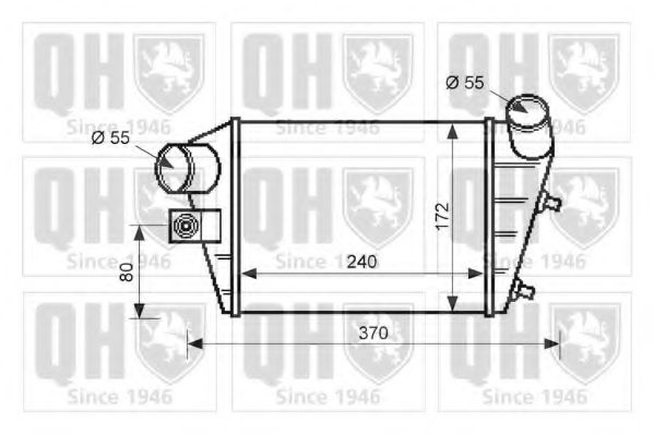 QUINTON HAZELL QIC104