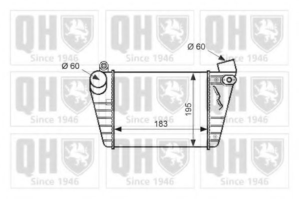 QUINTON HAZELL QIC109