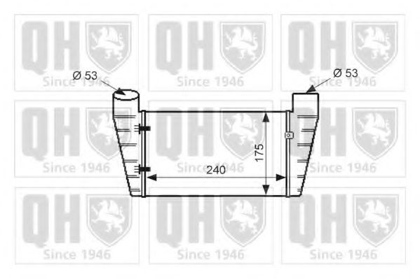 QUINTON HAZELL QIC118