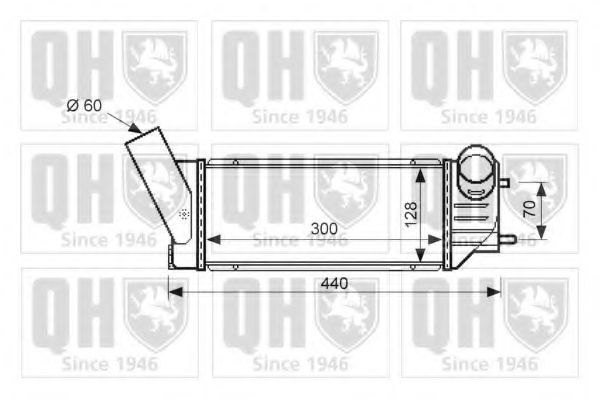 QUINTON HAZELL QIC129