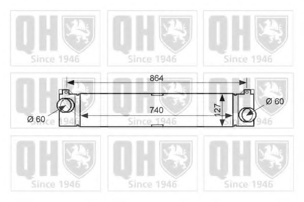 QUINTON HAZELL QIC137