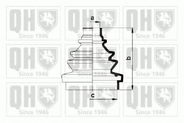 QUINTON HAZELL QJB740