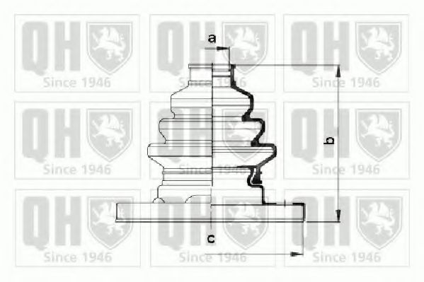 QUINTON HAZELL QJB949