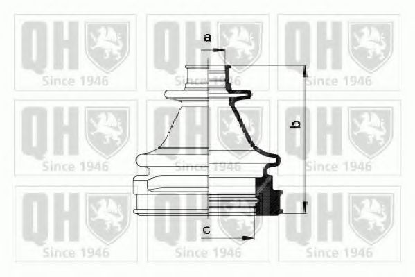 QUINTON HAZELL QJB971