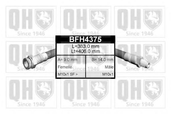 QUINTON HAZELL BFH4375