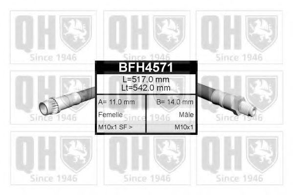 QUINTON HAZELL BFH4571