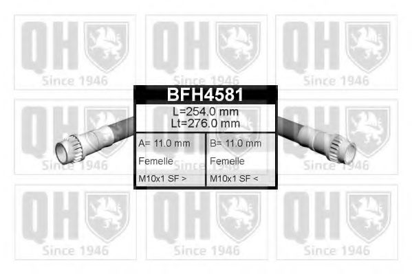 QUINTON HAZELL BFH4581