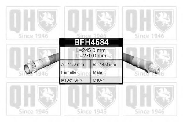 QUINTON HAZELL BFH4584