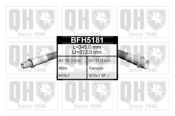 QUINTON HAZELL BFH5181