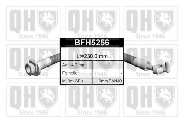 QUINTON HAZELL BFH5256