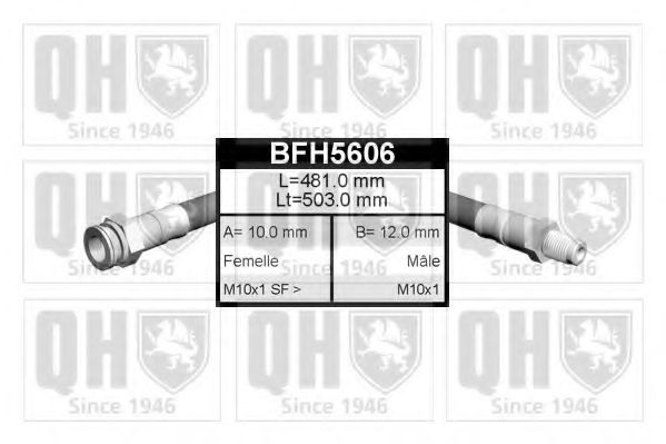 QUINTON HAZELL BFH5606