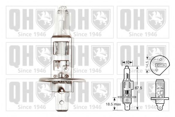 QUINTON HAZELL QBL448